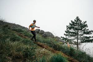 BIB: 
                            <button type="button" onclick="openModal(25998195)" class="btn btn-primary btn-sm float-right btn-popup" data-toggle="modal" data-target=".modal-high-quality">
                        <i class="fas fa-shopping-cart"></i> Add to Cart
                    </button>
                                            <button type="button" onclick="isThisMe(25998195, true)" class="btn btn-success btn-sm float-right btn-popup btn-isme hidden" data-toggle="tooltip" data-placement="bottom" title="นี่คือรูปของคุณใช่ไหม คลิกที่นี่เพื่อเอาเข้าอัลบั้ม">
                        <i class="fas fa-plus"></i> Add to album
                    </button>
                    <button type="button" onclick="isThisMe(25998195, false)" class="btn btn-warning btn-sm float-right btn-popup btn-isnotme hidden">
                        <i class="fas fa-ban"></i> Remove from album
                    </button>